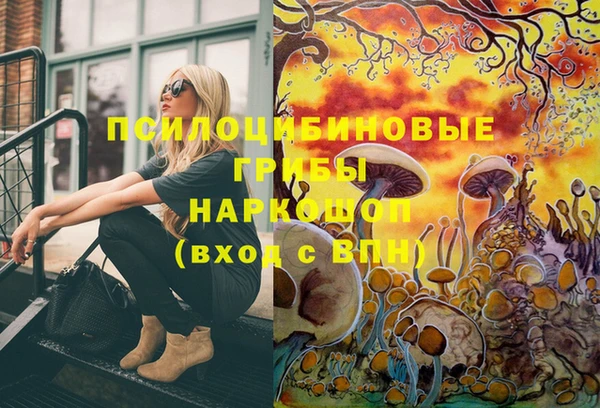 MDMA Premium VHQ Богородицк