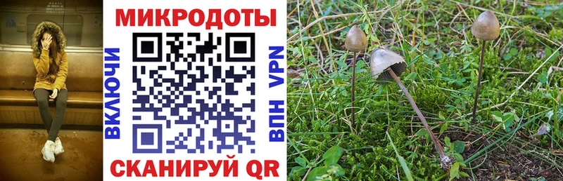 купить закладку omg ССЫЛКА Псилоцибиновые грибы Psilocybine cubensis это Telegram Улан-Удэ