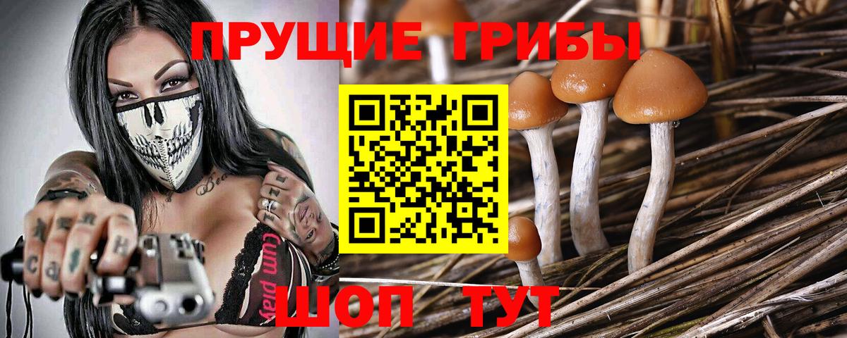 Псилоцибиновые грибы MAGIC MUSHROOMS  Псилоцибиновые грибы MAGIC MUSHROOMS  Улан-Удэ  Вход с VPN 